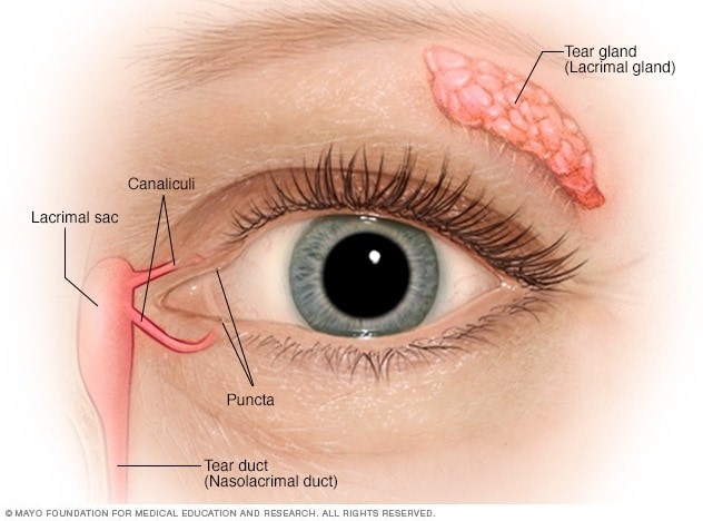 Ojos secos