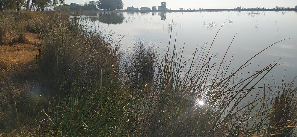 La tormenta perfecta de la Pampa Húmeda