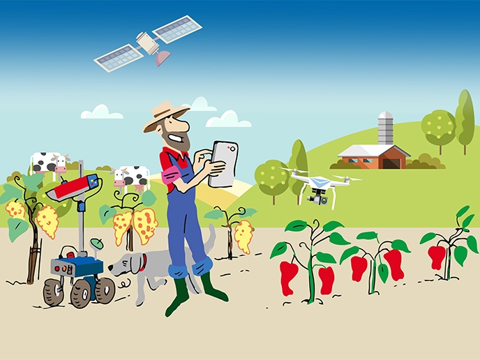 Agricultura argentina: una actividad que cambia, pero sigue siendo esencial